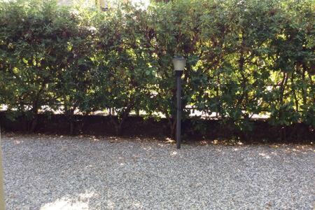 Residence Apuamare Pietrasanta Luaran gambar